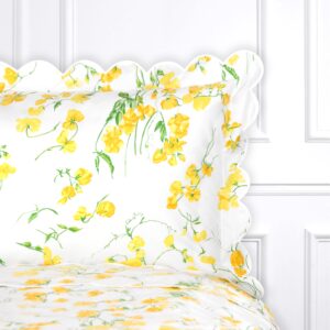 D. Porthault Boudoir Sham in Pois de Senteur Yellow
