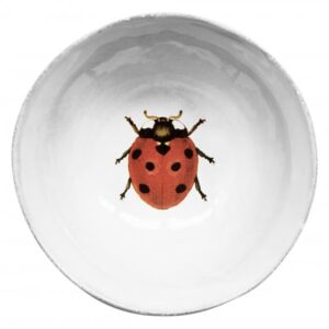 Ceramic bowl featuring a painted ladybug with black spots on a white interior.