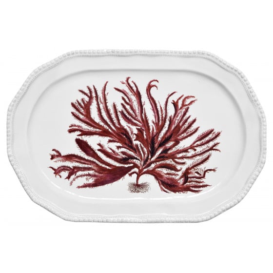 product-11 White platter featuring a detailed red seaweed design.