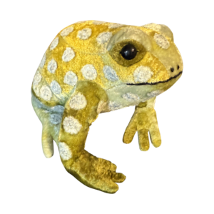 A plush frog with a mint green body and white polka dots sits against a black background.