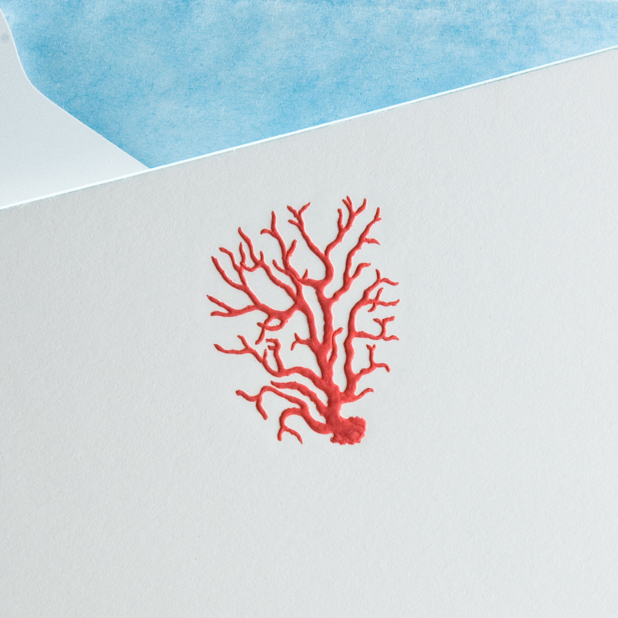 Red coral illustration on a white note card, partially covered by a blue envelope.