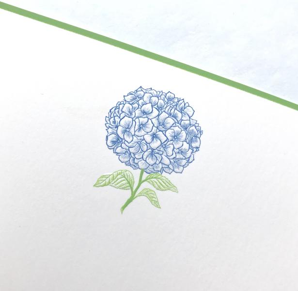 A blue hydrangea flower illustration with green leaves on a white background.